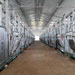 四川宜宾康诺养猪场采用的万春机械母猪产床