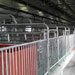 四川宜宾康诺养猪场采用的万春机械母猪产床